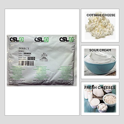 CSL - DOM 2