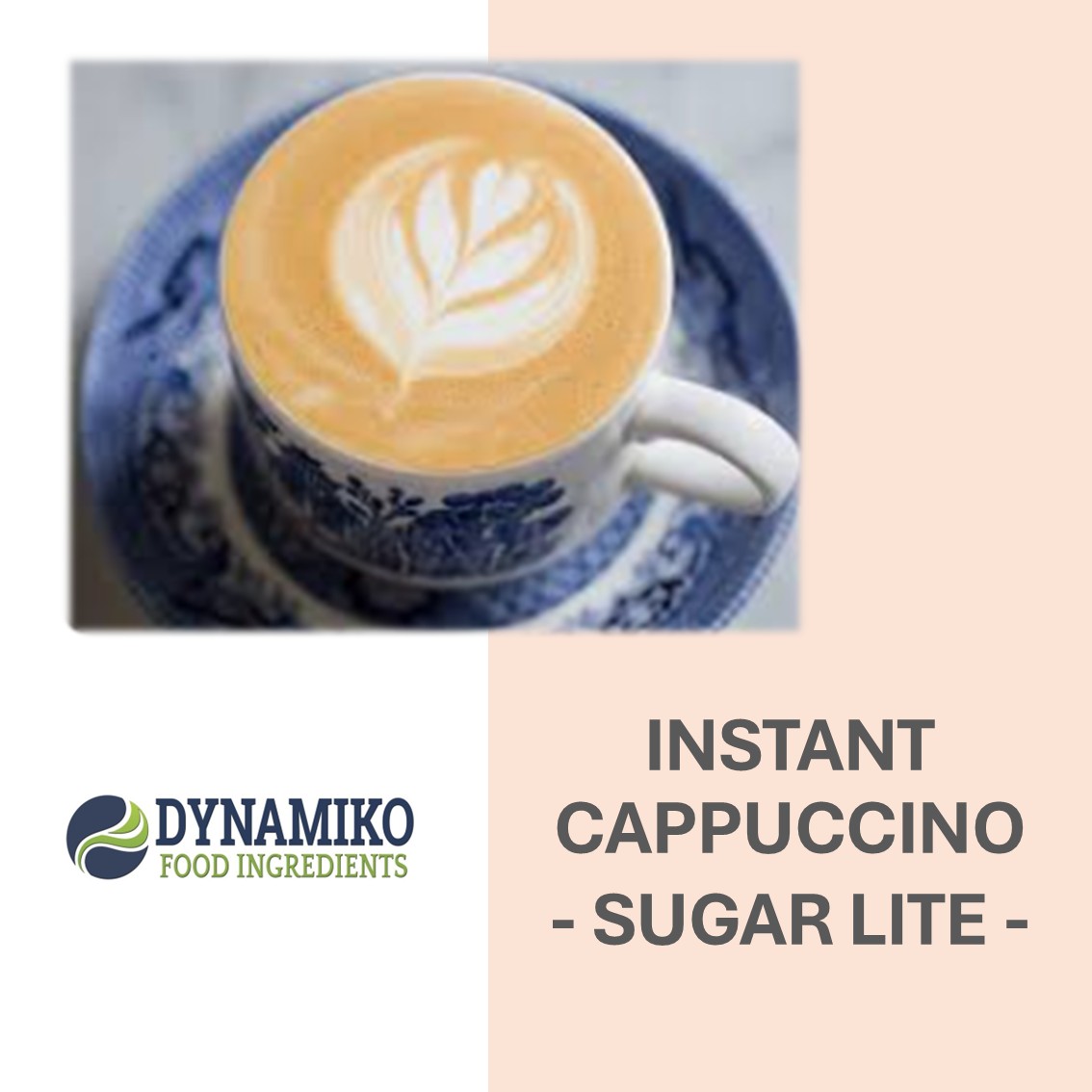 INSTANT CAPPUCCINO PREMIX - SUGAR LITE - 5 KG