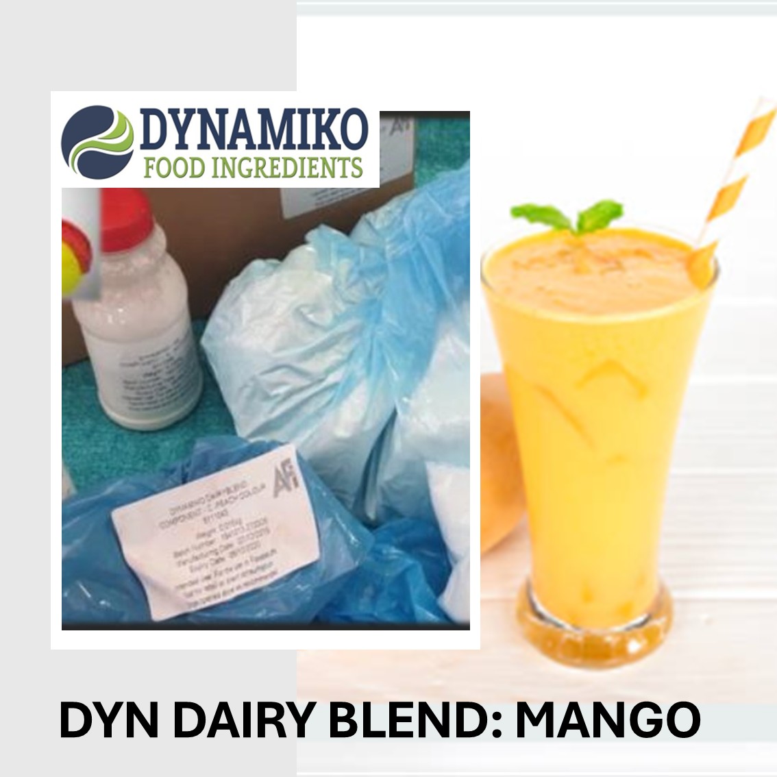 DYN DB : MANGO - 500 L