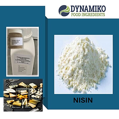 DYNAMIKO NISIN