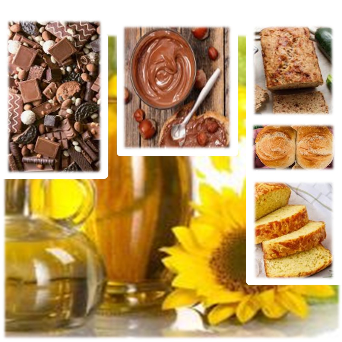 SUNFLOWER LECITHIN (BUNGEMAXX S1000)